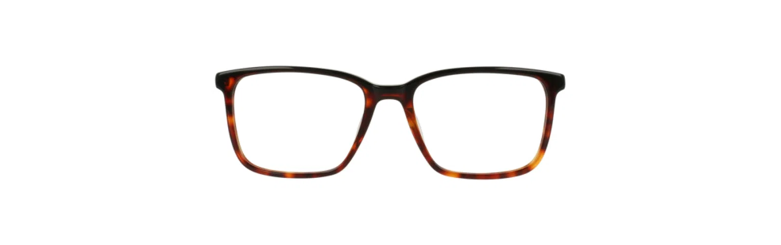 Argyleculture ARWASHBURN Eyeglasses - view 6
